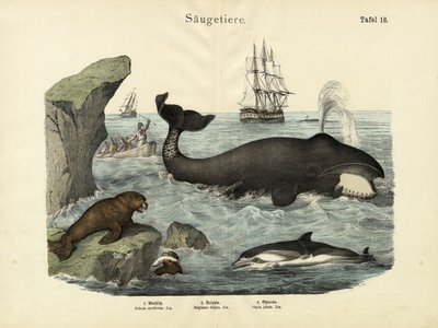 Ssaki, ok. 1860 autorstwa German School